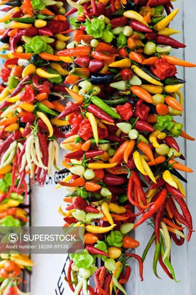 Mixture of Chili Peppers