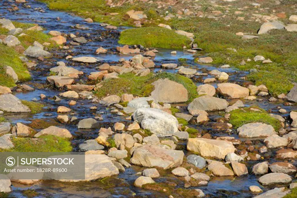Creek, Harefjorden, Scoresby Sund, Greenland