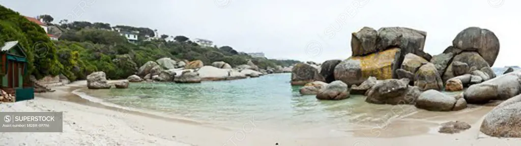 Boulders Beach, Cape Peninsula, Western Cape, Cape Province, South Africa