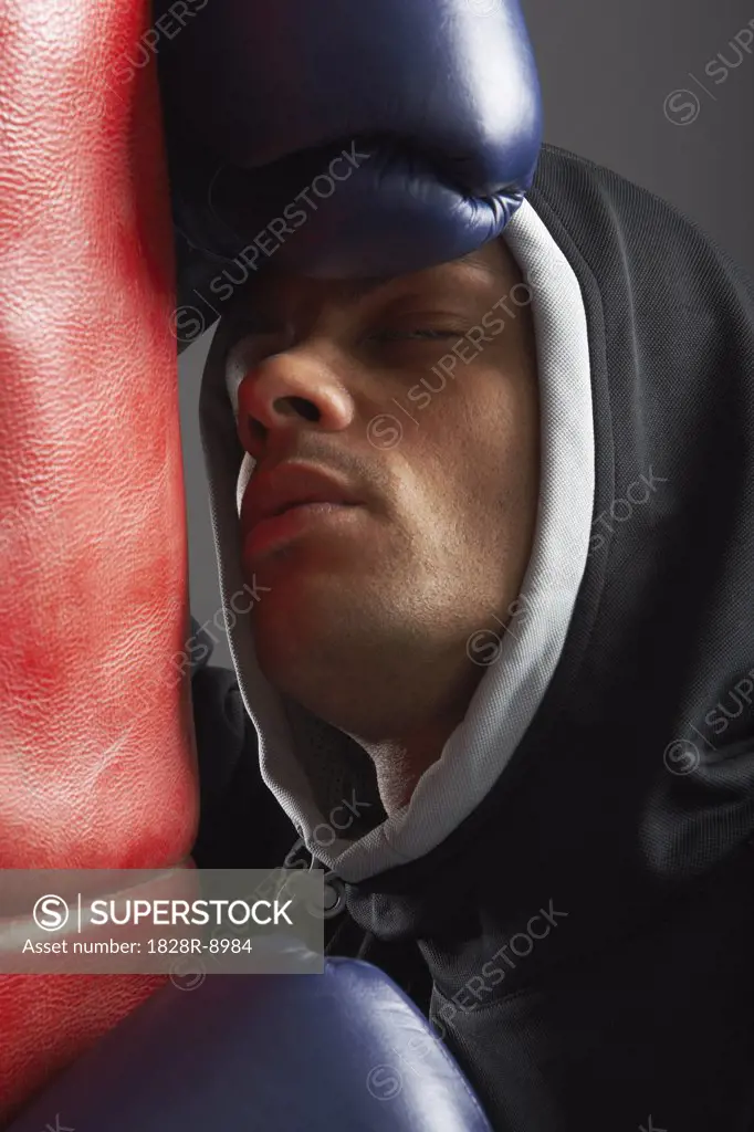 Portrait of Boxer   