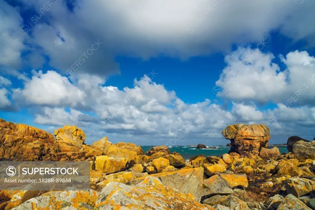 Rocky Coastline near Plougrescant, Cotes-d'Armor, Brittany, France