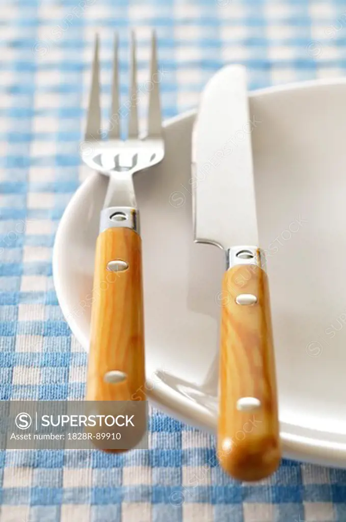 Fork and Knife on Plate
