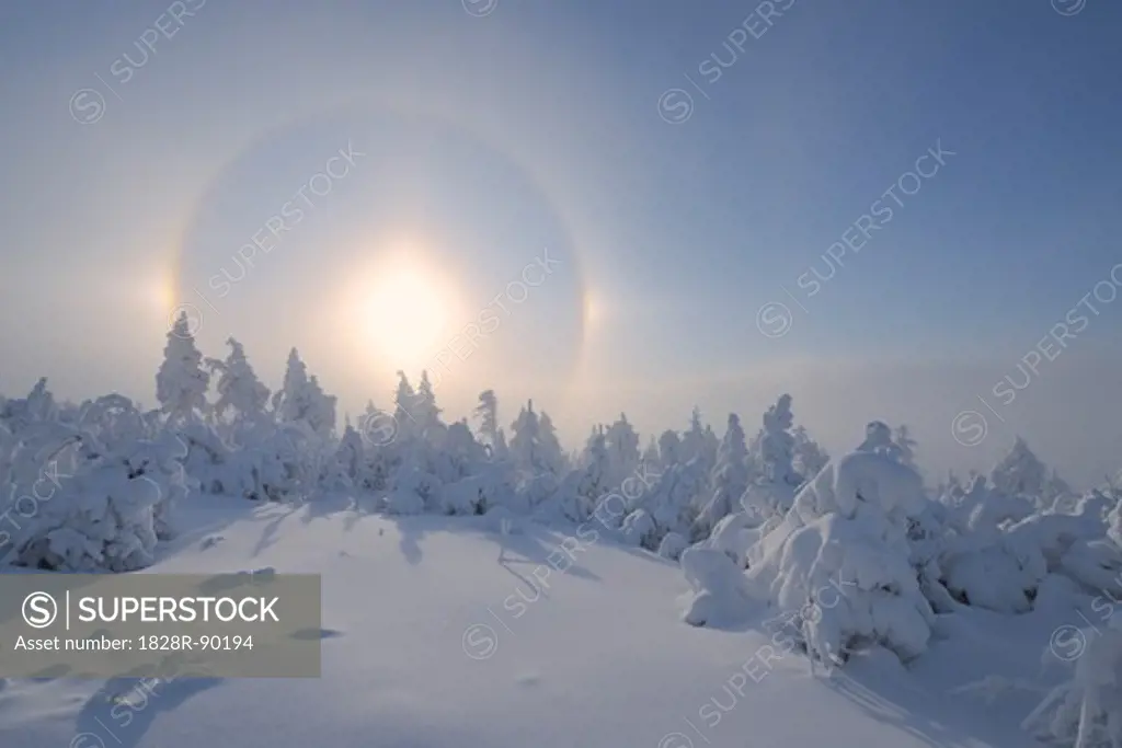 Halo over Snow Covered Trees, Fichtelberg, Ore Mountains, Saxony, Germany
