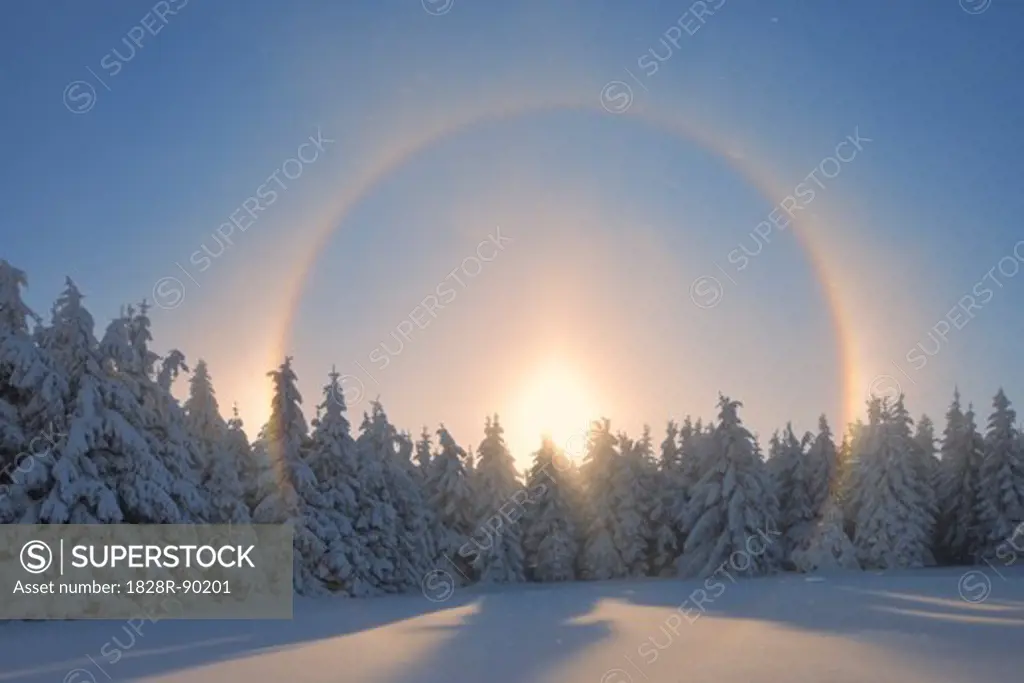Halo and Snow Covered Trees, Fichtelberg, Ore Mountains, Saxony, Germany