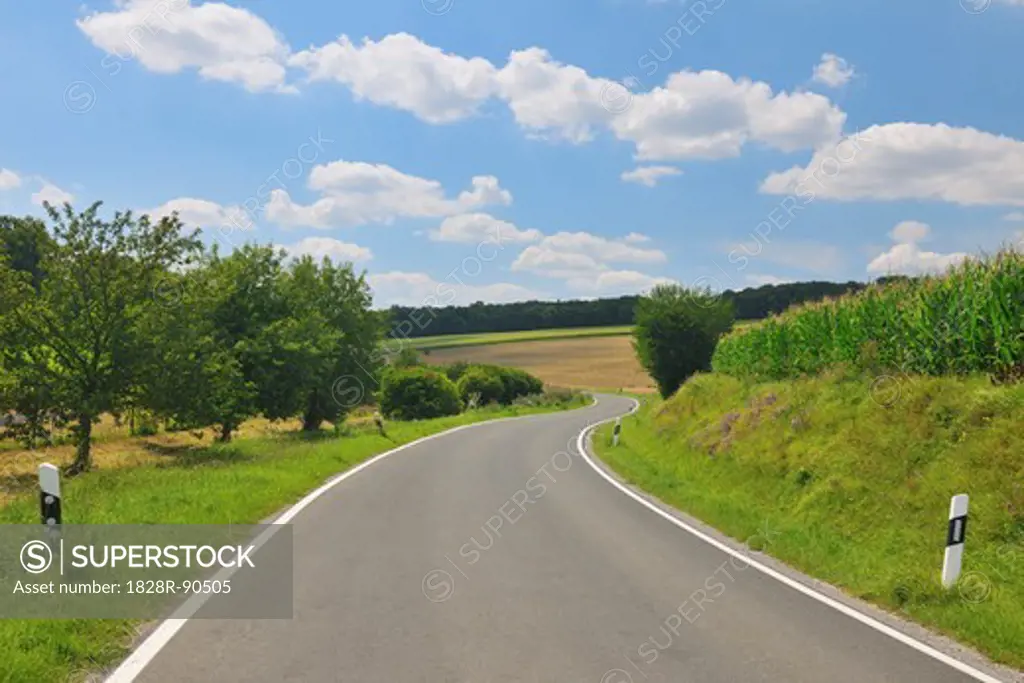 Country Road in Summer, Butthard, Wurzburg District, Franconia, Bavaria, Germany