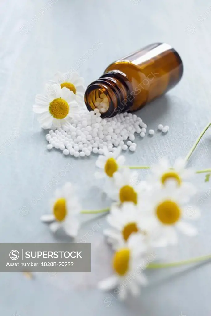 Chamomile and Homeopathic Medicine