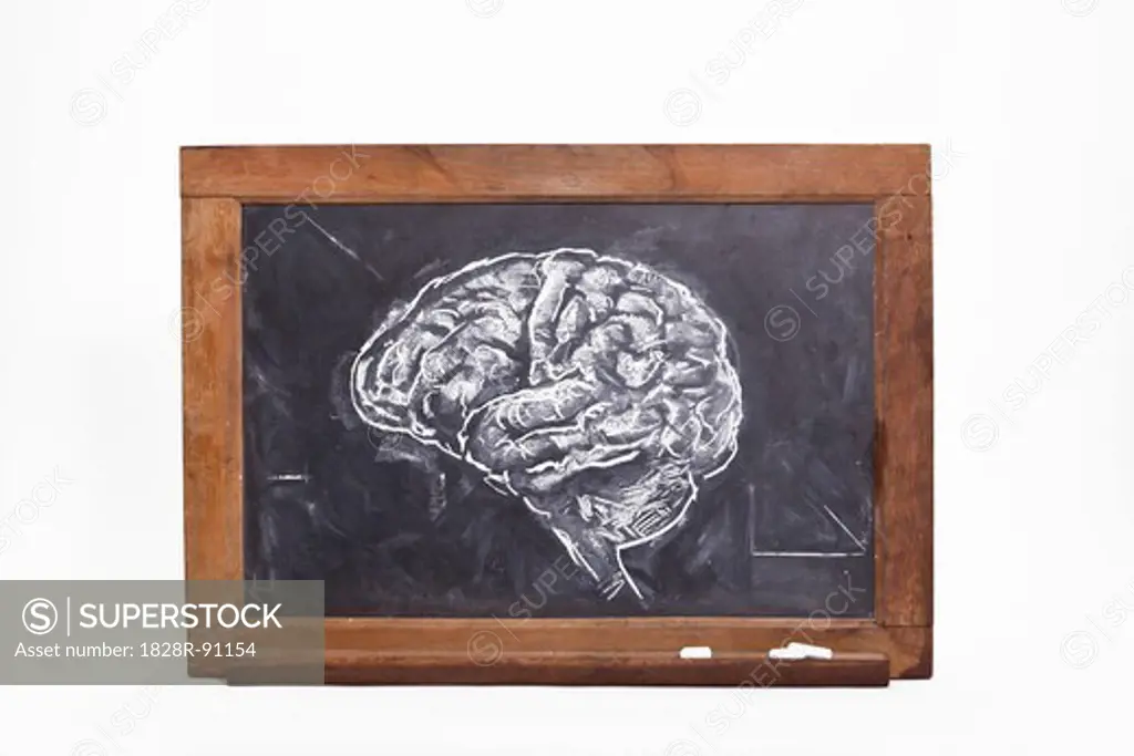 Chalk Drawing of Brain on Blackboard
