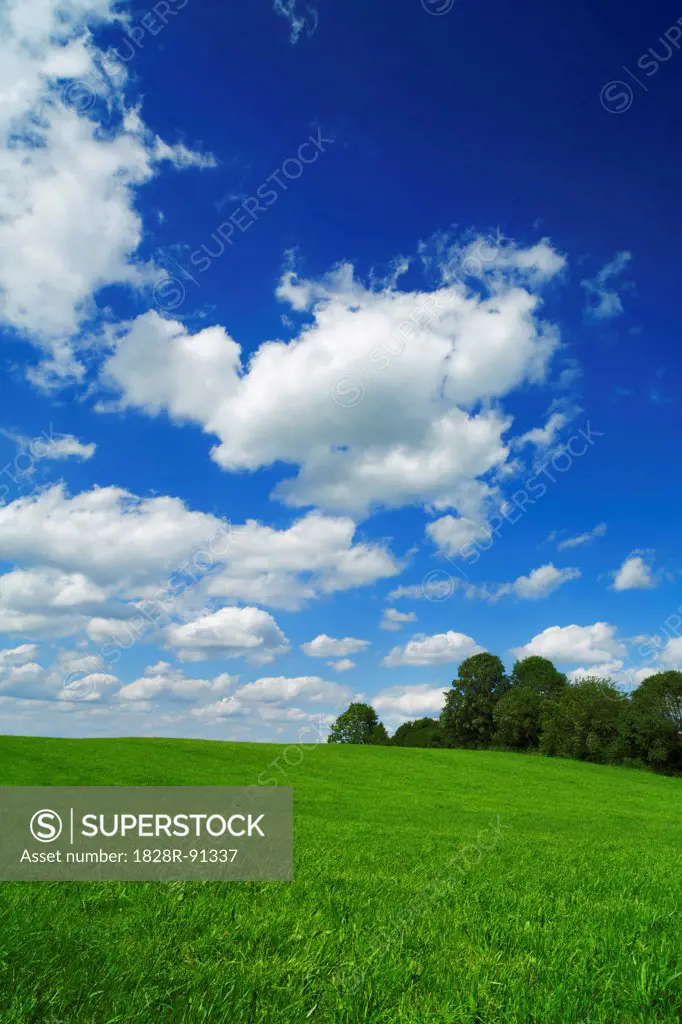 Meadow and Cumulonimbus Clouds, Holzkirchen, Bavaria, Germany
