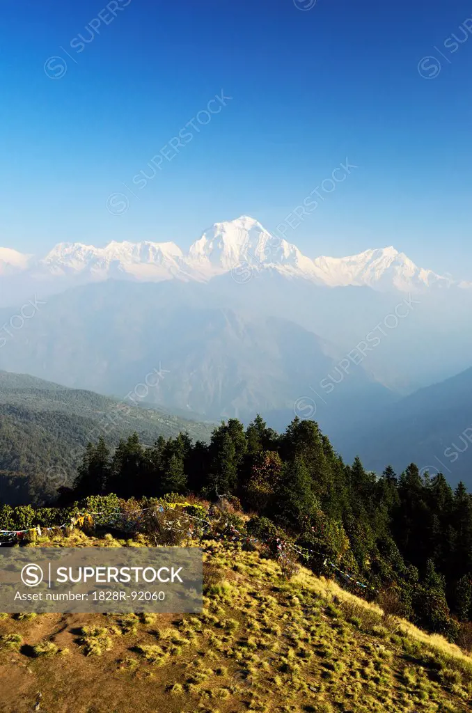 Dhaulagiri Himal View From Poon Hill, Annapurna Conservation Area, Mustang District, Dhaulagiri, Pashchimanchal, Nepal