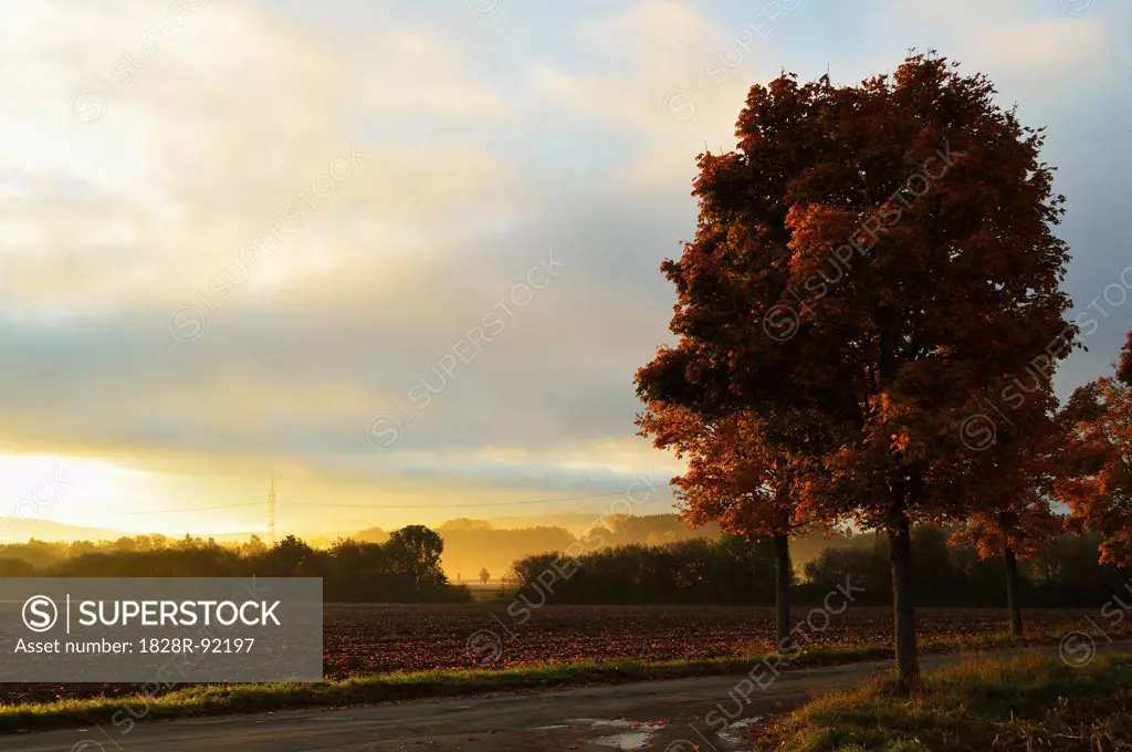 Rural Autumn Scene, near Villingen-Schwenningen, Black Forest, Schwarzwald-Baar, Baden-Wurttemberg, Germany