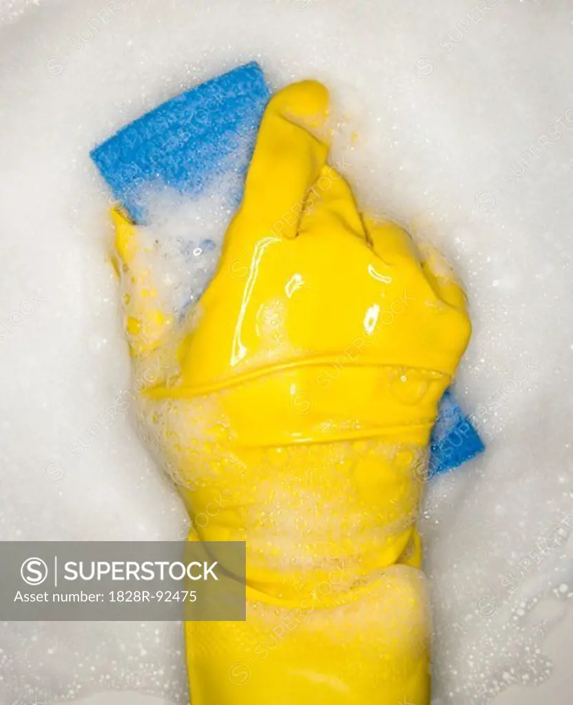 Hand in Rubber Glove with Sponge in Soapsuds