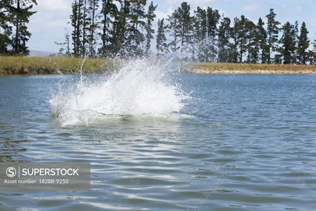 Splash from People Jumping into Water   