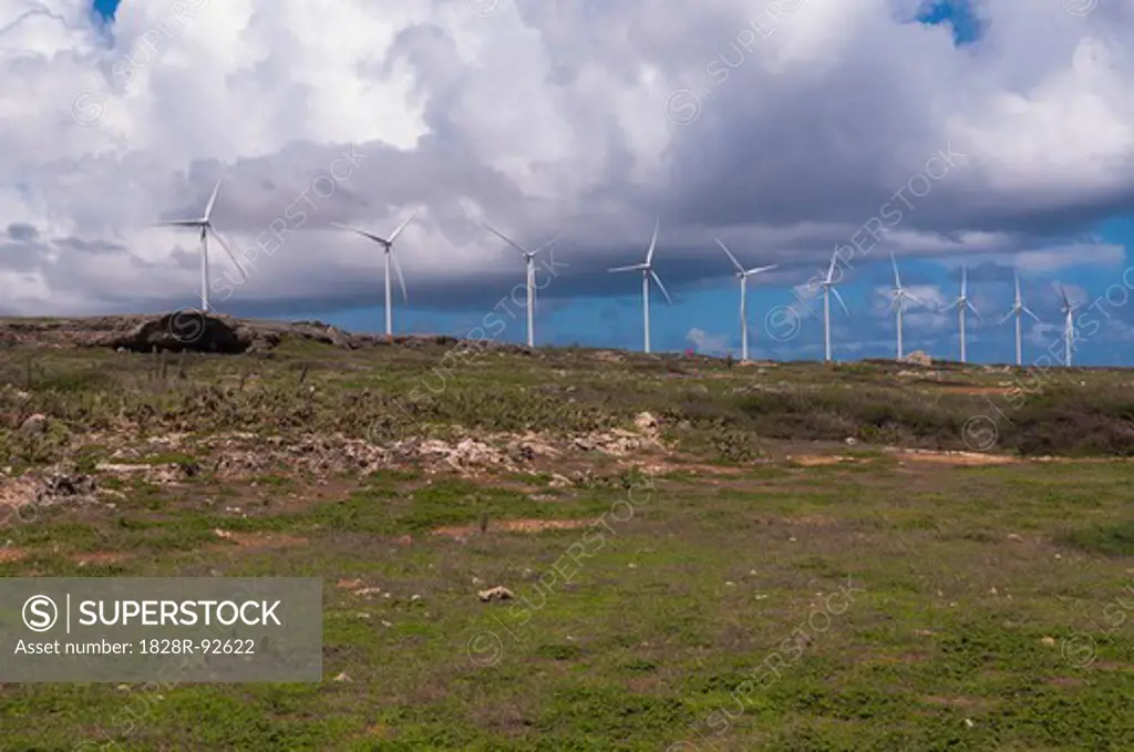 Row of Wind Turbines, Aruba, Lesser Antilles, Caribbean