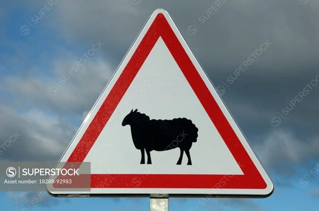 Sheep Crossing Sign, Montarnaud, Herault, Languedoc-Roussillon, France