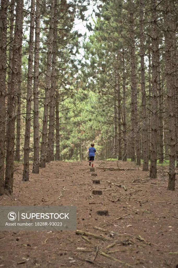 Boy Walking on Path in Forest, Newmarket, Ontario, Canada
