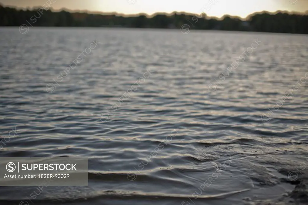 Selective Focus on Lake at Dusk, Muskoka, Ontario, Canada