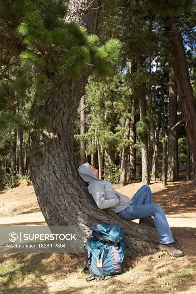Man Lying on Tree   