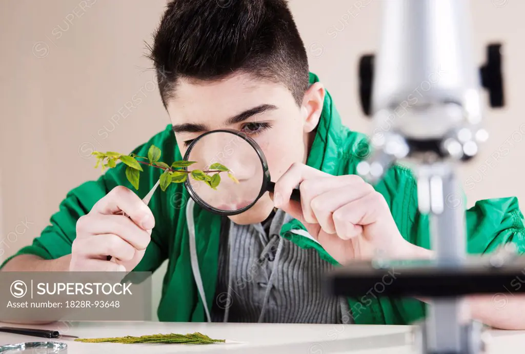 Boy Examining Leaves with Magnifying Glass, Mannheim, Baden-Wurttemberg, Germany