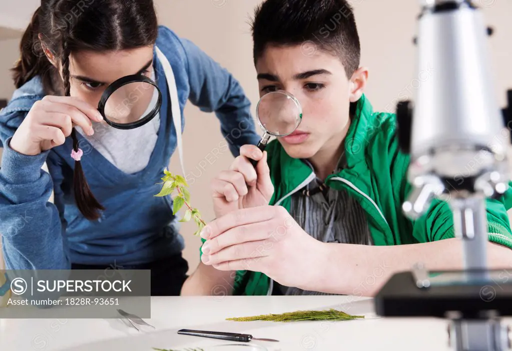 Boy and Girl Examining Leaves with Magnifying Glasses, Mannheim, Baden-Wurttemberg, Germany