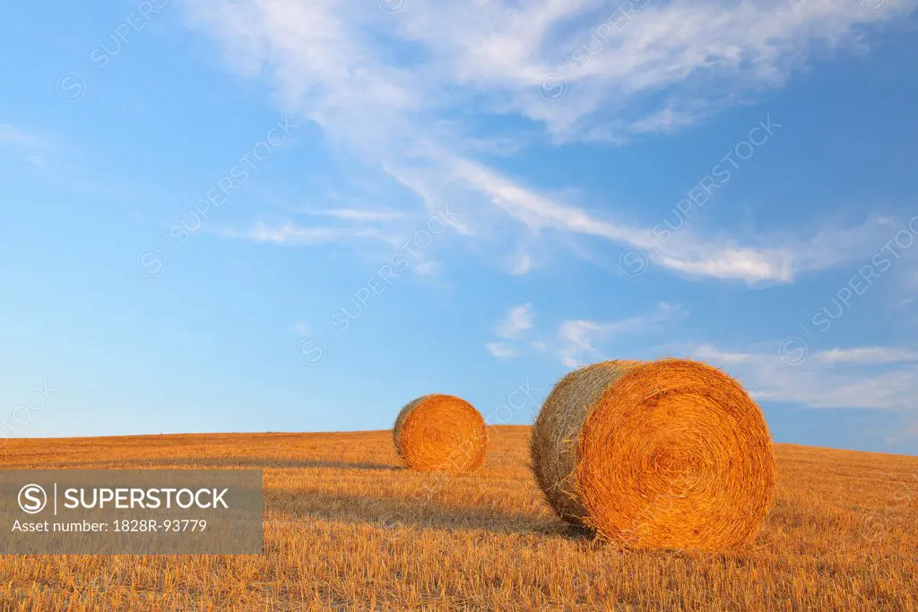 Field with Hay Bales and Blue Sky, Province of Siena, Tuscany, Italy
