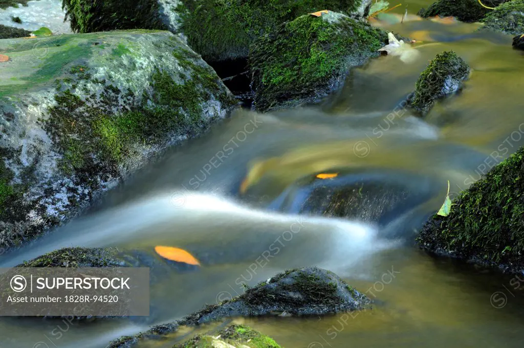 Detail of flowing waters of a little River in autumn in the bavarian forest, Bavaria, Germany.