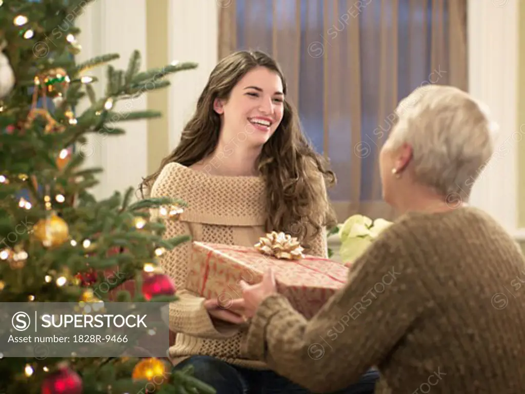 Girl Opening Presents with Grandmother   