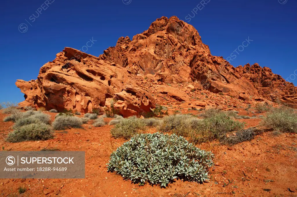 Eroded landscape in Valley of Fire - America North, USA, Nevada, Valley Of Fire, Seven Sisters Region - Noon