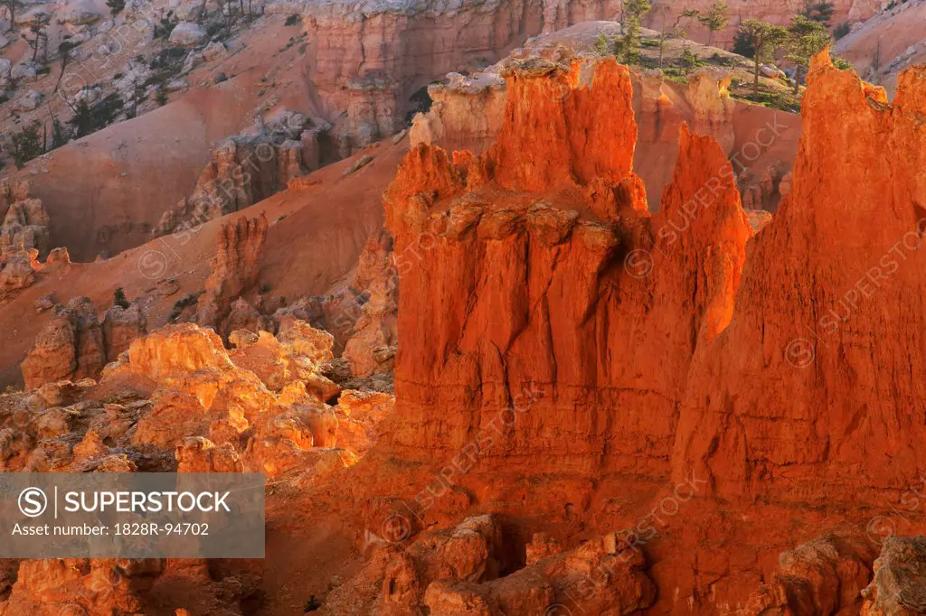 Eroded landscape in Bryce Canyon below Bryce Point - America North, USA, Utah, Bryce Canyon National Park, Bryce Point - Forenoon