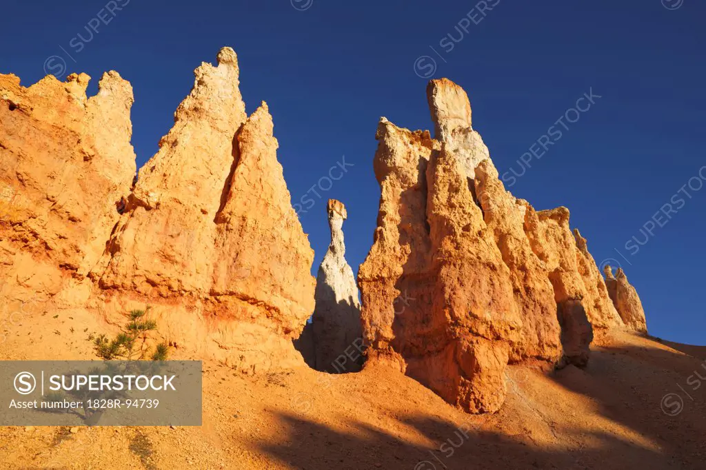 Rock Formations, Peek-A-Boo Loop Trail, Bryce Canyon National Park, Utah, USA