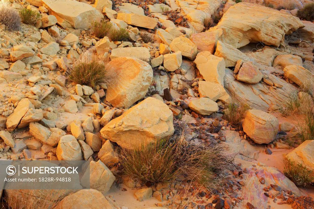 Sandstone Rocks, Rainbow Vista, Valley of Fire, Nevada, USA