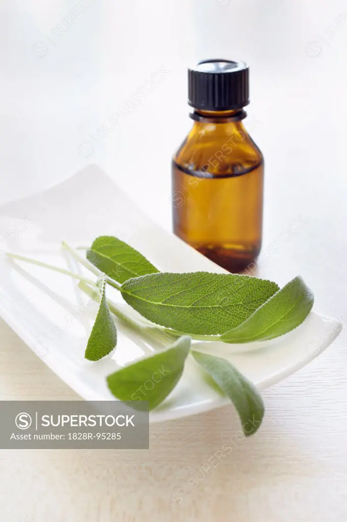 Sprig of sage, herbs and bottle of aromatic oil for aromatherapy