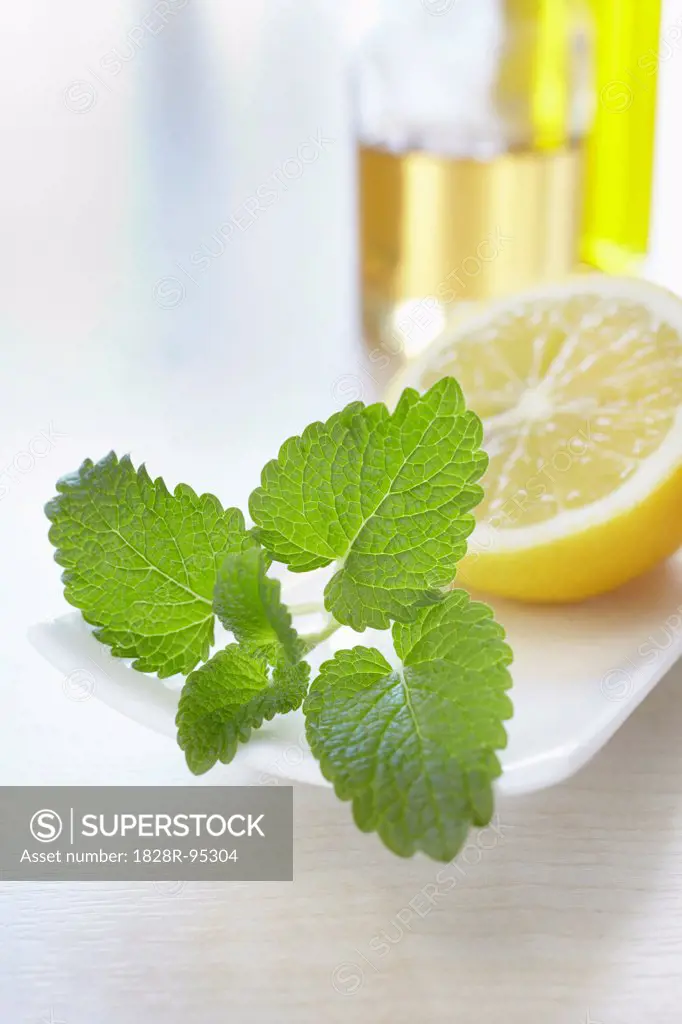 Fresh lemon balm with a lemon and bottles of aromatic oil for aromatherapy
