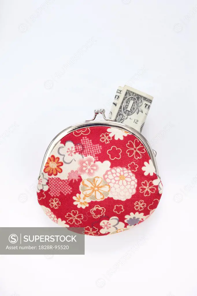 Close-up of Floral Patterned Change Purse with American Dollar Bill Sticking Out, Studio Shot on White Background