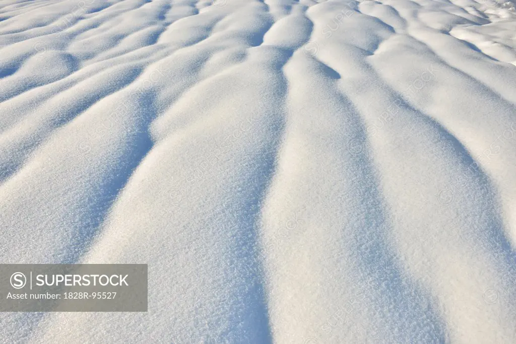 Snowy Hillside in Winter, Spiegelau, Bavarian Forest National Park, Bavaria, Germany