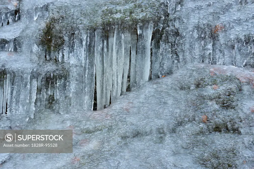 Close-up of Icicles in Winter, Steinklamm, Spieglau, Bavarian Forest National Park, Bavaria, Germany