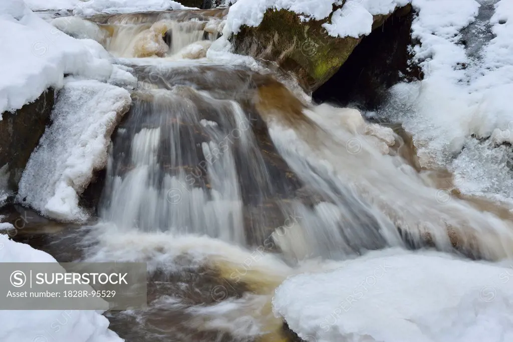 Close-up of Icy Mountain Stream in Winter, Steinklamm, Spieglau, Bavarian Forest National Park, Bavaria, Germany