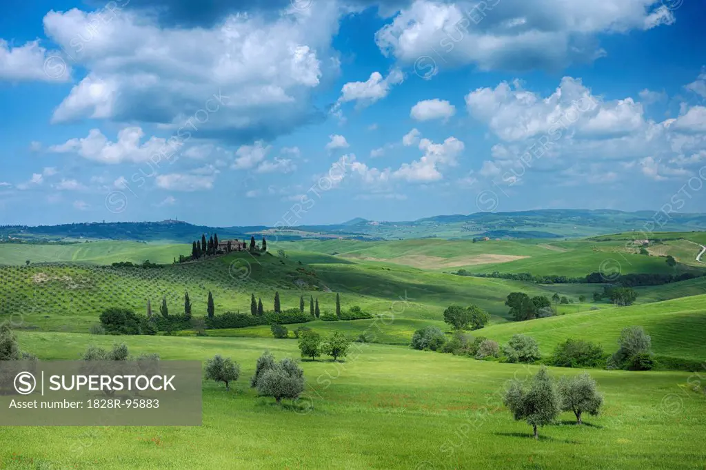 Green rolling landscape with fluffy clouds. Pienza, Siena Province, Val d´Orcia, Tuscany, Italy, Mediterranean Area.,10/16/2010