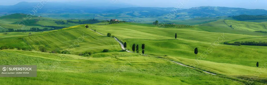 Track passing through green fields with cypress trees. Pienza, Siena Province, Val d´Orcia, Tuscany, Italy.,10/17/2010