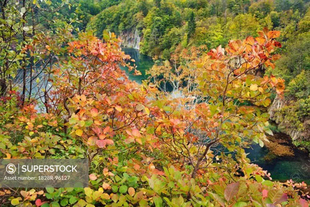 Forest and River in Autumn, Plitvice Lakes National Park, Lika-Senj, Croatia,10/10/2012
