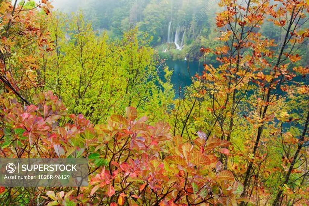 Deciduous Forest and Waterfall in Autumn, Plitvice Lakes National Park, Lika-Senj, Croatia,10/10/2012