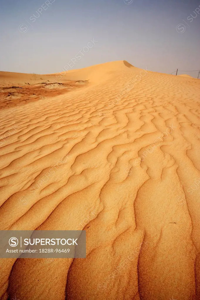 Sand Dune, Dubai, United Arab Emirates,01/19/2008