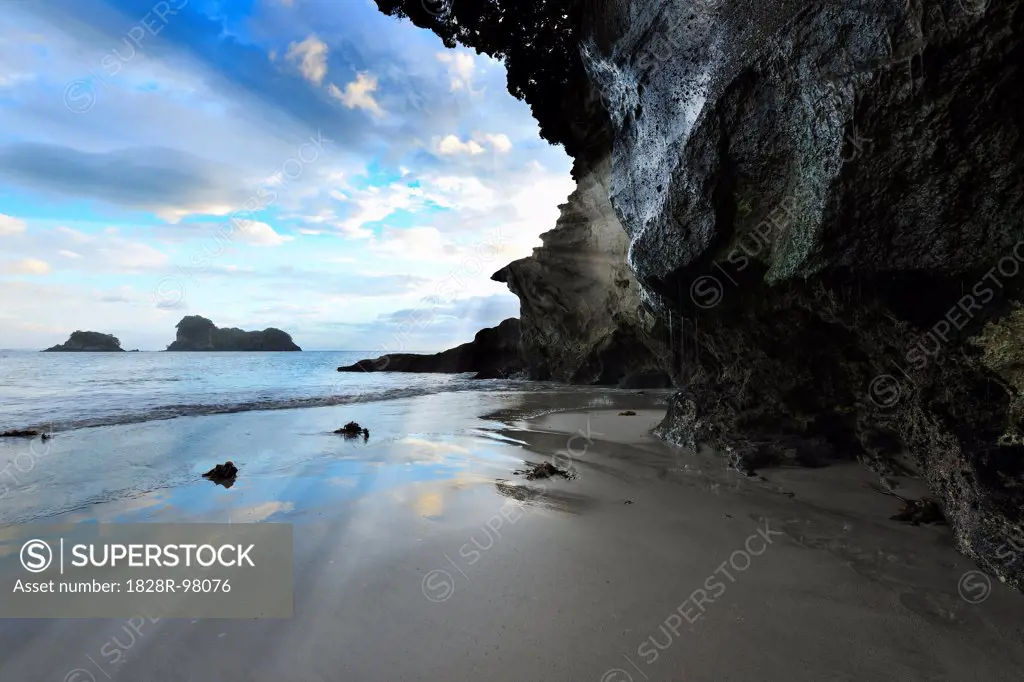 Beach at Dawn, Cathedral Cove, Hahei, Waikato, North Island, New Zealand,01/02/2012
