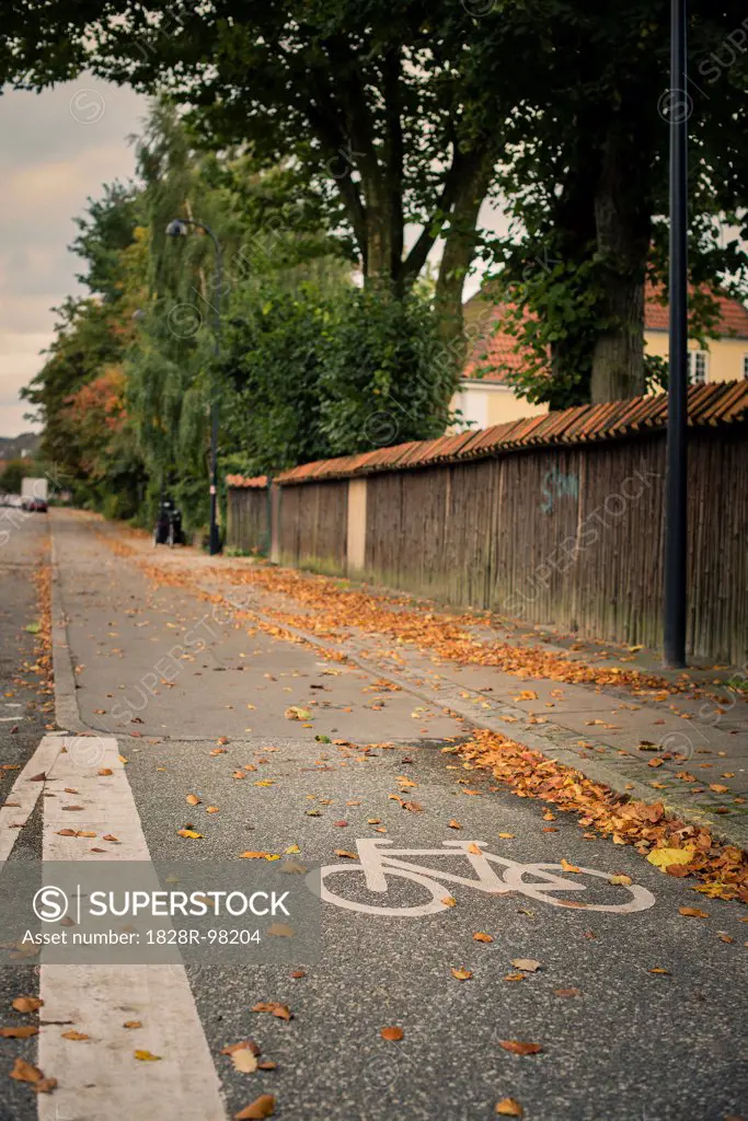 Bicycle Path in Autumn, Copenhagen, Denmark,10/07/2012