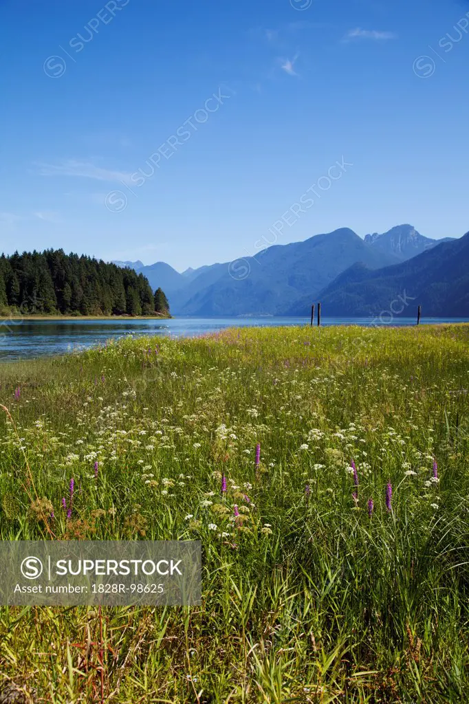 Scenic Landscape, Pitt Lake, Pitt Meadows, British Columbia, Canada,08/21/2013