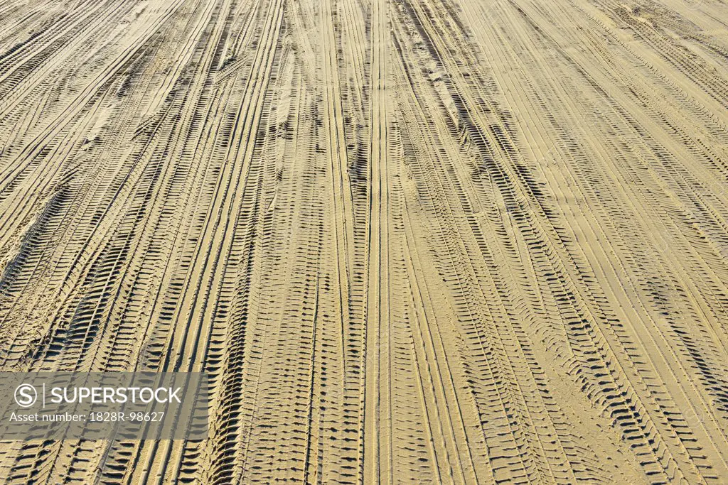 Tire Tracks on Sand at Beach, Norderdeich, Sankt Peter-Ording, Nordfriesland, Schleswig-Holstein, Germany,08/14/2012