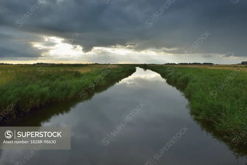Landscape with River through Fields in Summer, Toenning, Eiderstedt Peninsula, Schleswig-Holstein, Germany,08/09/2012