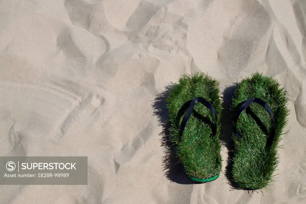 Flip flops lined in green grass on beach, Germany. 08/02/2013