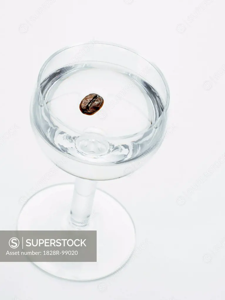 Glass of Sambuca with Coffee Bean on White Background, Studio Shot. 08/29/2013