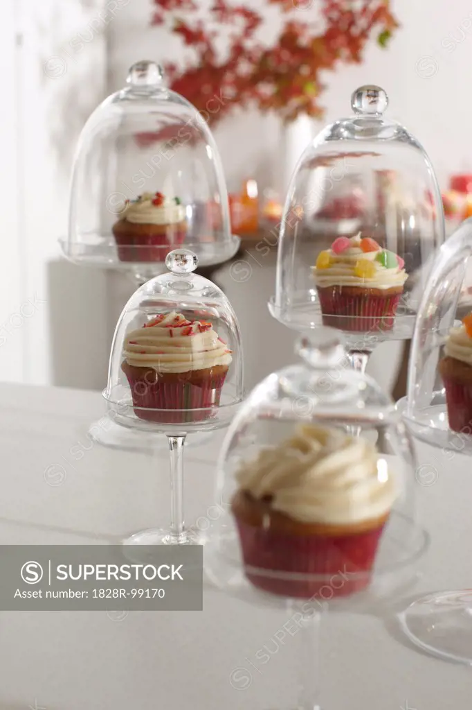 Cupcakes Displayed in Cake Stands for Party, Studio Shot. 10/28/2011