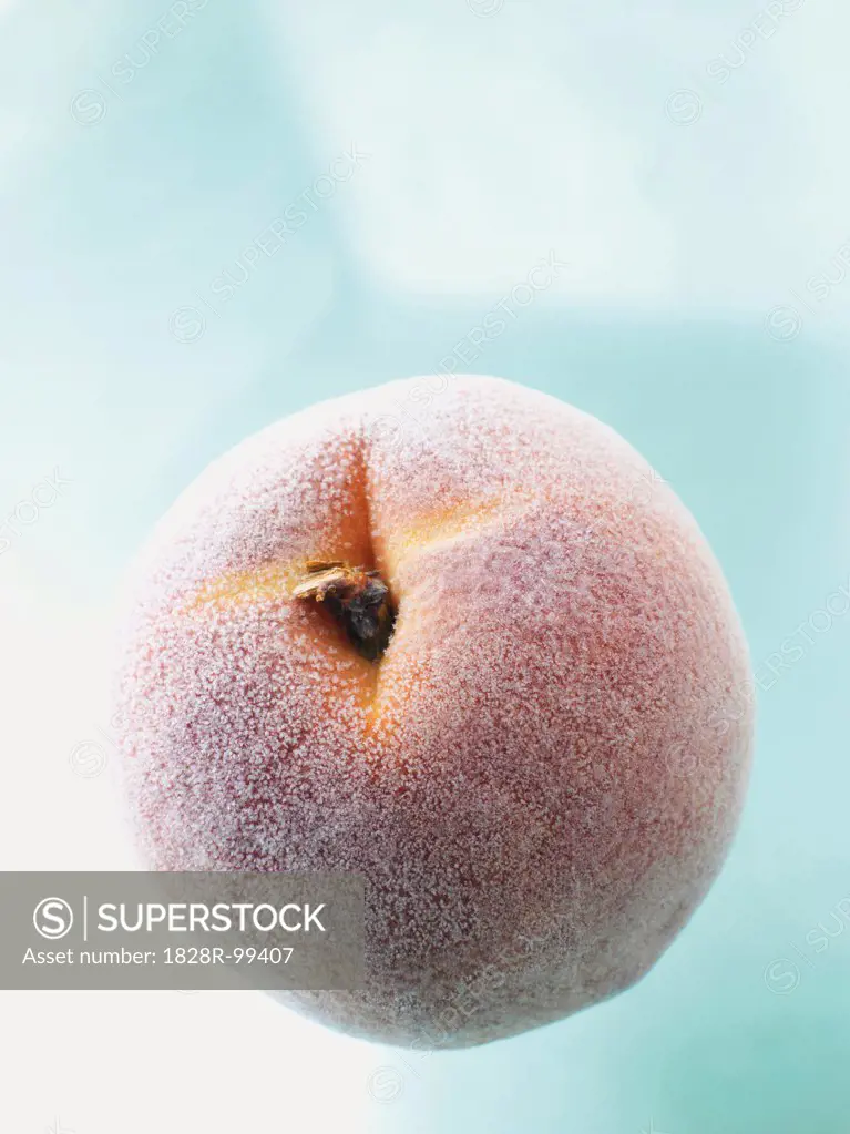 Close-up of frozen peach, studio shot. 09/01/2013
